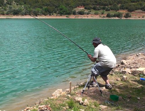 Catch and release Carp fishing στον Λάδωνα